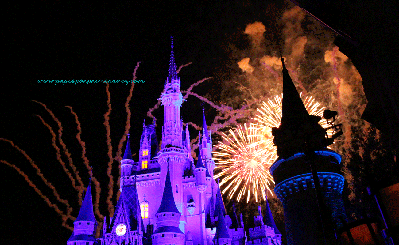 MagicKingdom1