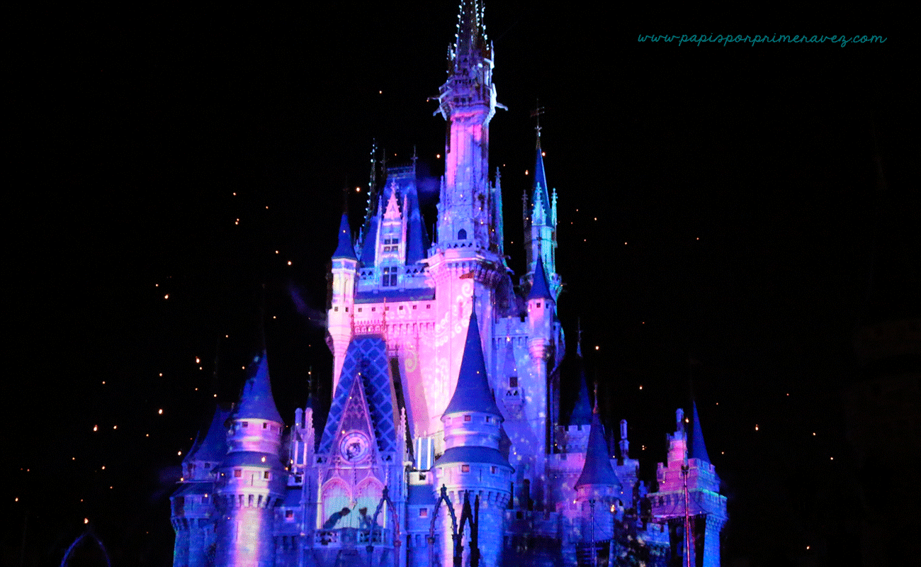 MagicKingdom39