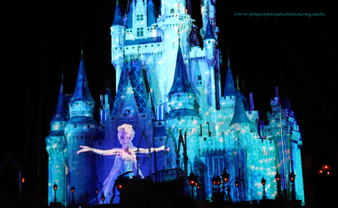 MagicKingdom41