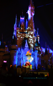 MagicKingdom46