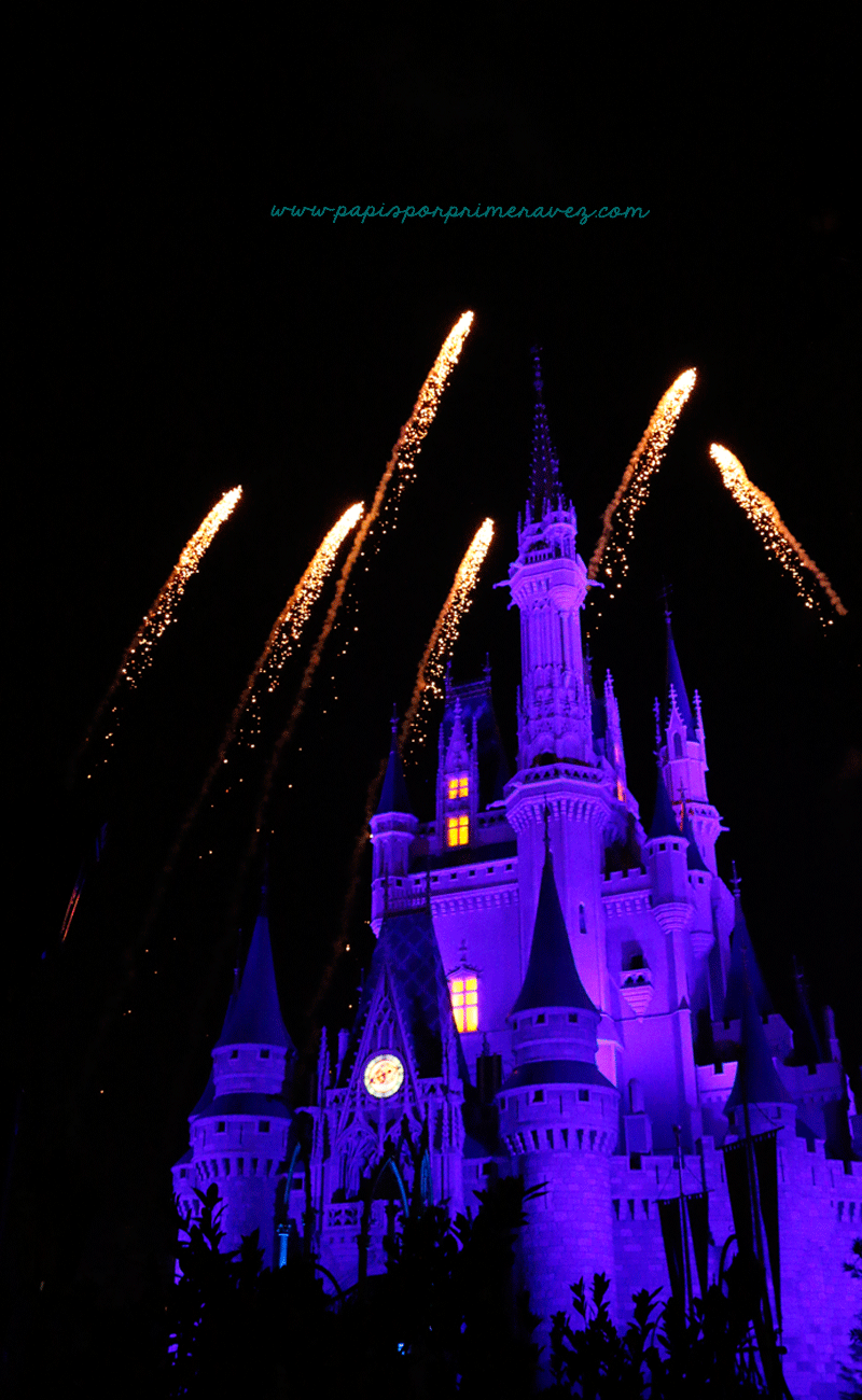 MagicKingdom48