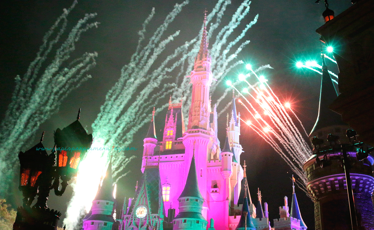 MagicKingdom6